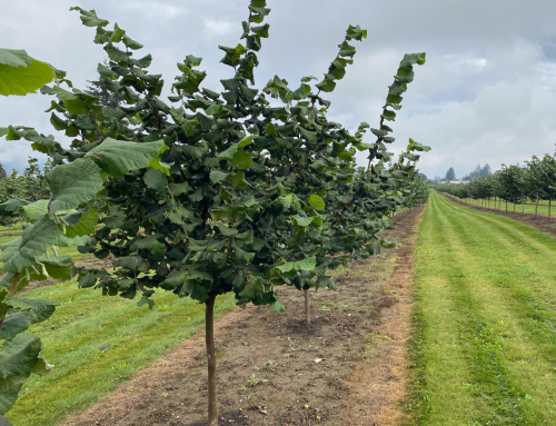 Nitrogen Management at Woodgrove Farm
